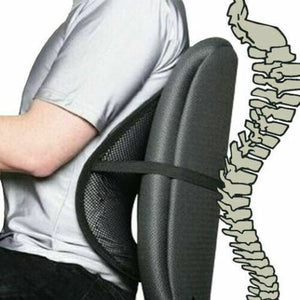 Any-Seat Lumbar Back Rest