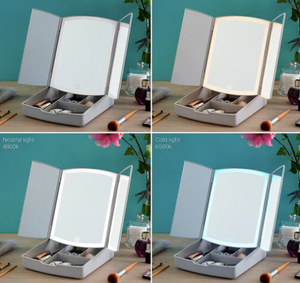 4-In-1 LED Light Mirror Make-up Organiser